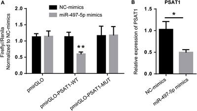 Prognostic microRNAs associated with phosphoserine aminotransferase 1 in gastric cancer as markers of bone metastasis